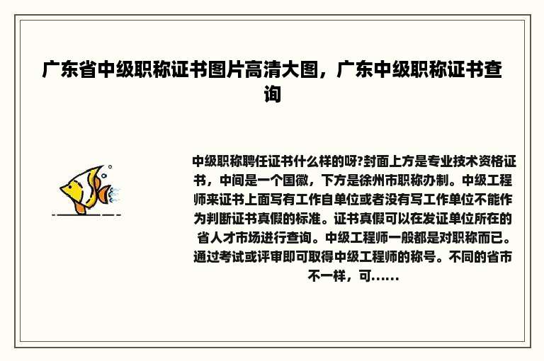 广东省中级职称证书图片高清大图，广东中级职称证书查询