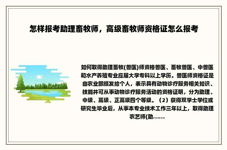 怎样报考助理畜牧师，高级畜牧师资格证怎么报考