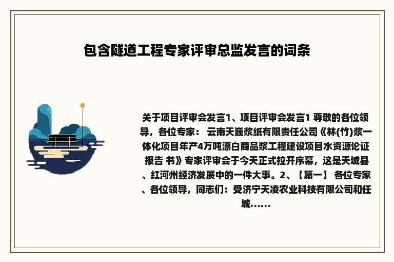 包含隧道工程专家评审总监发言的词条