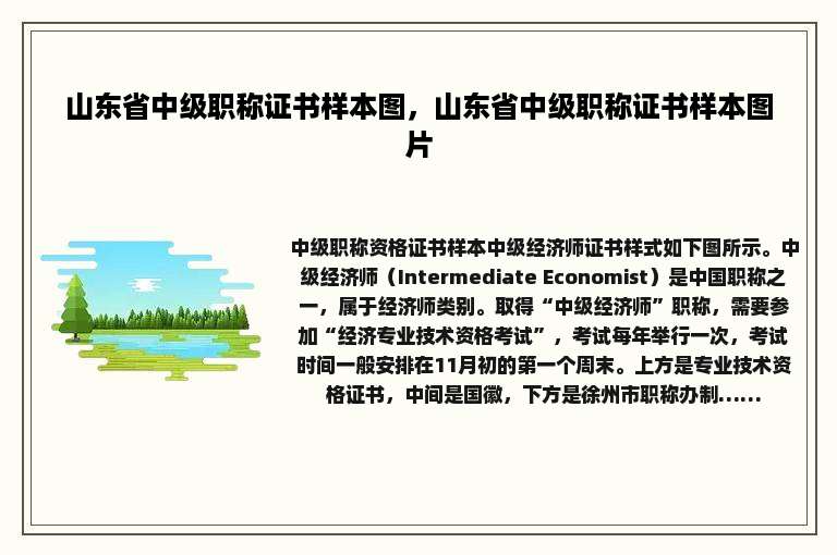 山东省中级职称证书样本图，山东省中级职称证书样本图片