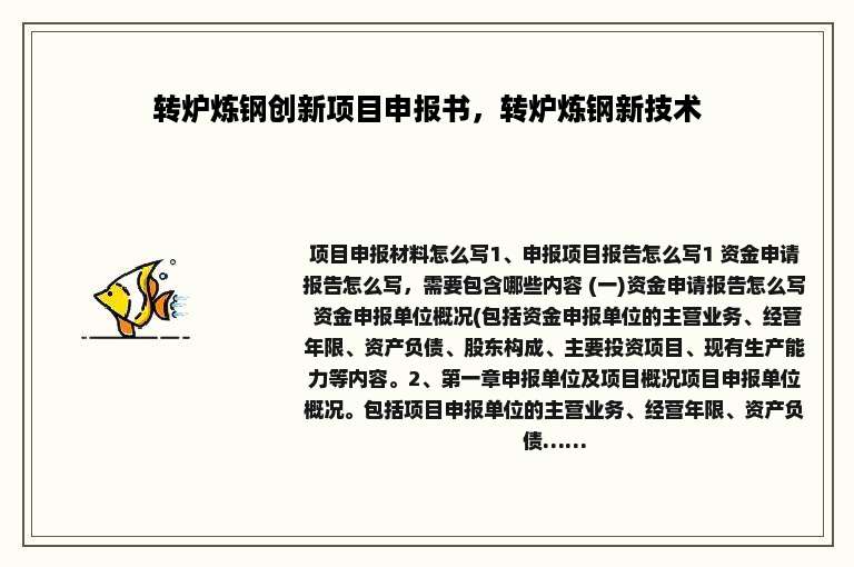 转炉炼钢创新项目申报书，转炉炼钢新技术