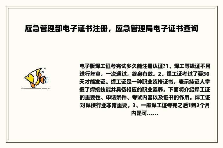 应急管理部电子证书注册，应急管理局电子证书查询