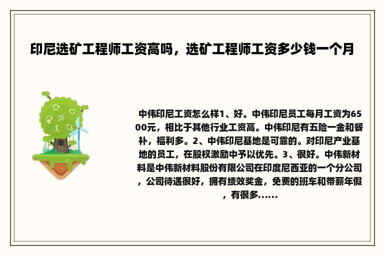 印尼选矿工程师工资高吗，选矿工程师工资多少钱一个月