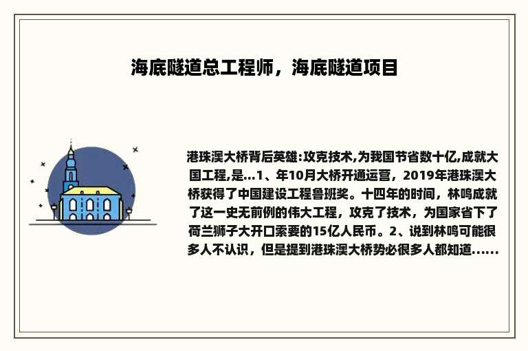 海底隧道总工程师，海底隧道项目