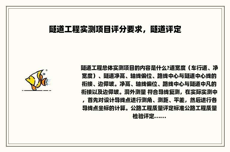 隧道工程实测项目评分要求，隧道评定