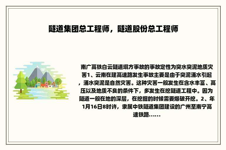 隧道集团总工程师，隧道股份总工程师