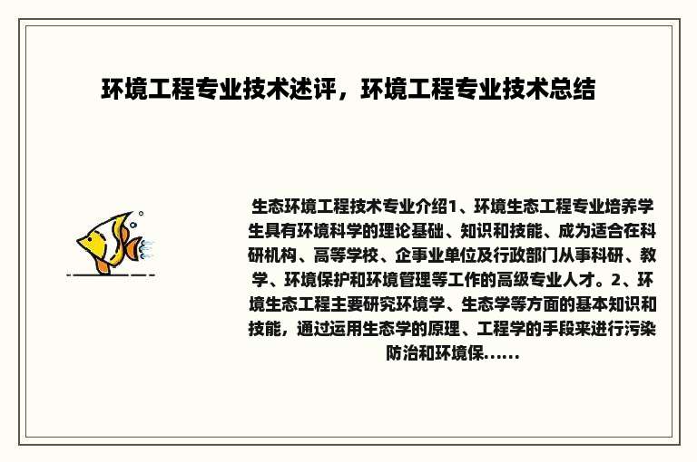环境工程专业技术述评，环境工程专业技术总结