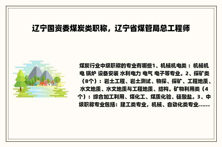 辽宁国资委煤炭类职称，辽宁省煤管局总工程师