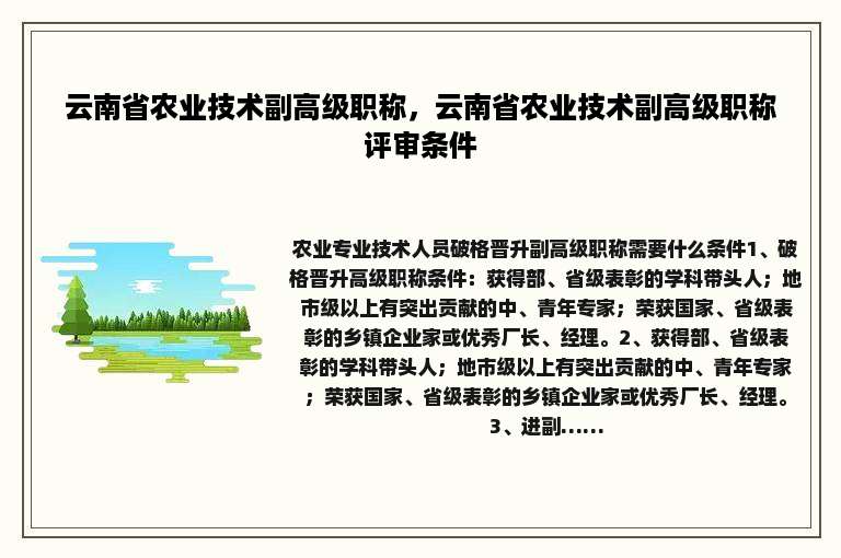云南省农业技术副高级职称，云南省农业技术副高级职称评审条件