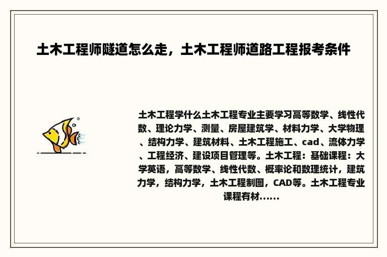 土木工程师隧道怎么走，土木工程师道路工程报考条件