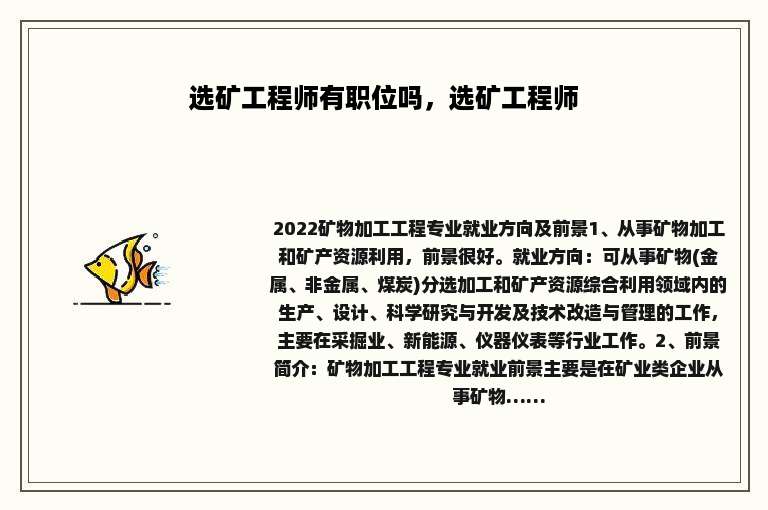 选矿工程师有职位吗，选矿工程师