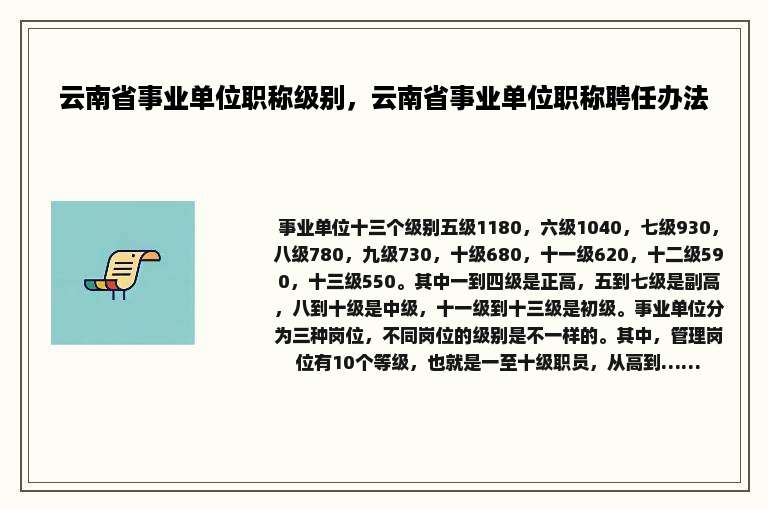云南省事业单位职称级别，云南省事业单位职称聘任办法