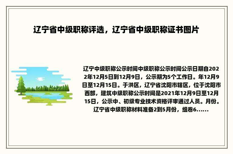 辽宁省中级职称评选，辽宁省中级职称证书图片