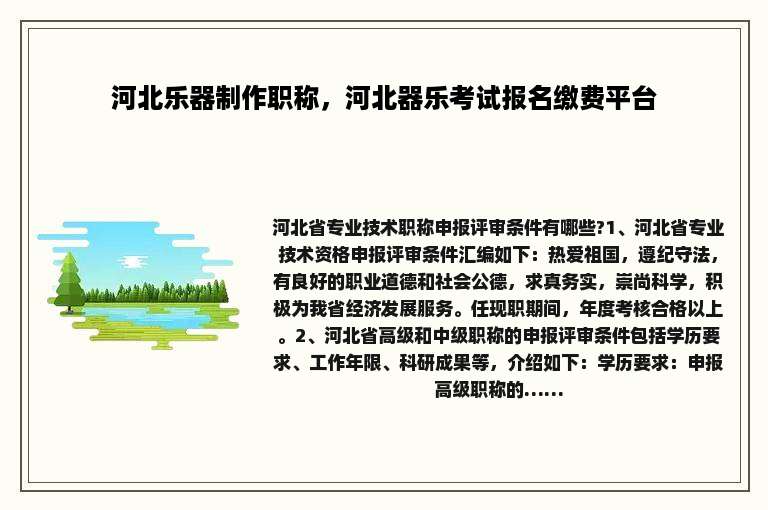 河北乐器制作职称，河北器乐考试报名缴费平台