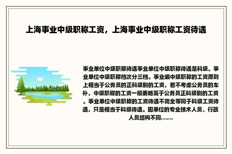 上海事业中级职称工资，上海事业中级职称工资待遇