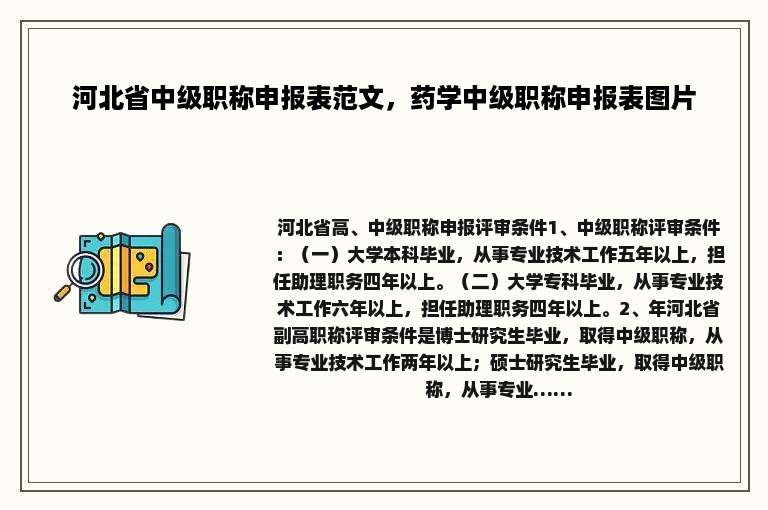 河北省中级职称申报表范文，药学中级职称申报表图片