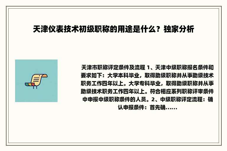 天津仪表技术初级职称的用途是什么？独家分析