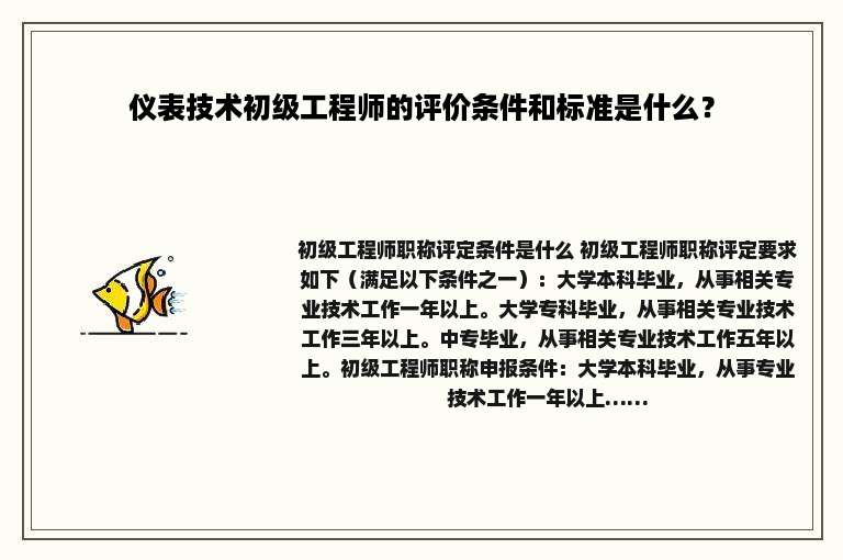 仪表技术初级工程师的评价条件和标准是什么？