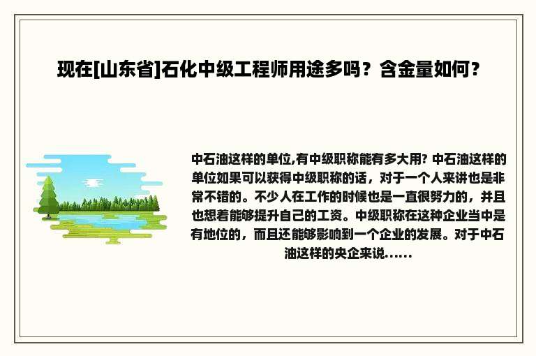 现在[山东省]石化中级工程师用途多吗？含金量如何？