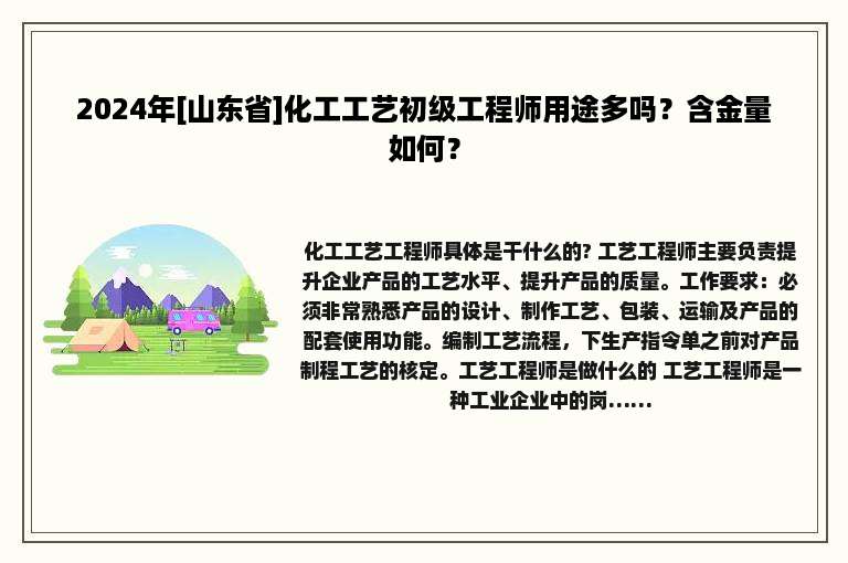 2024年[山东省]化工工艺初级工程师用途多吗？含金量如何？