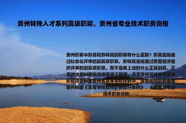 贵州特殊人才系列高级职称，贵州省专业技术职务资格