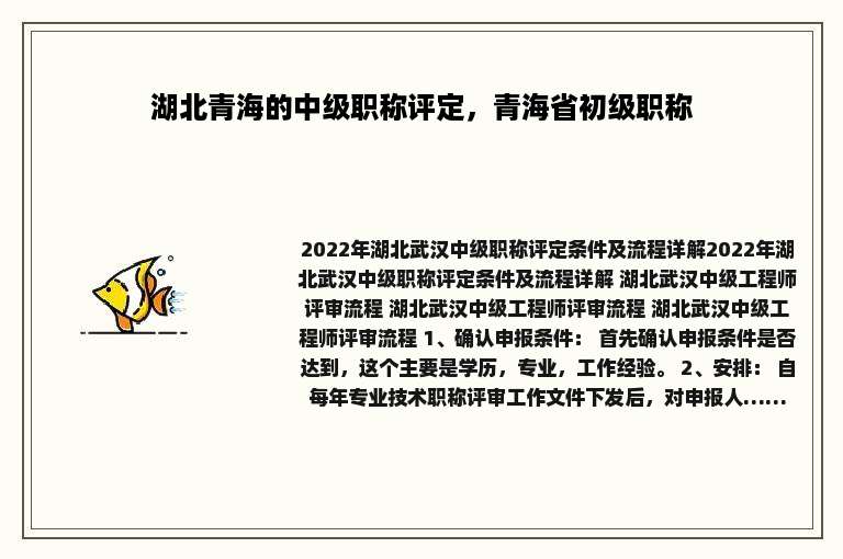 湖北青海的中级职称评定，青海省初级职称