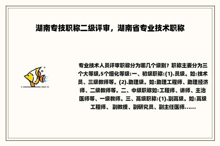 湖南专技职称二级评审，湖南省专业技术职称
