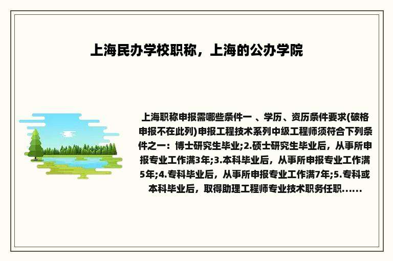 上海民办学校职称，上海的公办学院