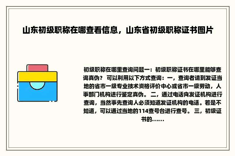 山东初级职称在哪查看信息，山东省初级职称证书图片