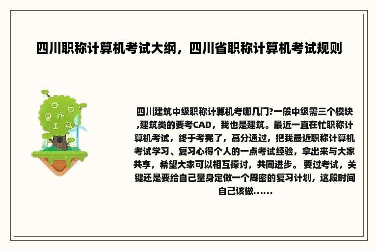 四川职称计算机考试大纲，四川省职称计算机考试规则
