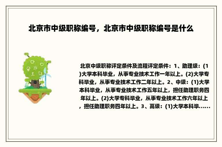 北京市中级职称编号，北京市中级职称编号是什么