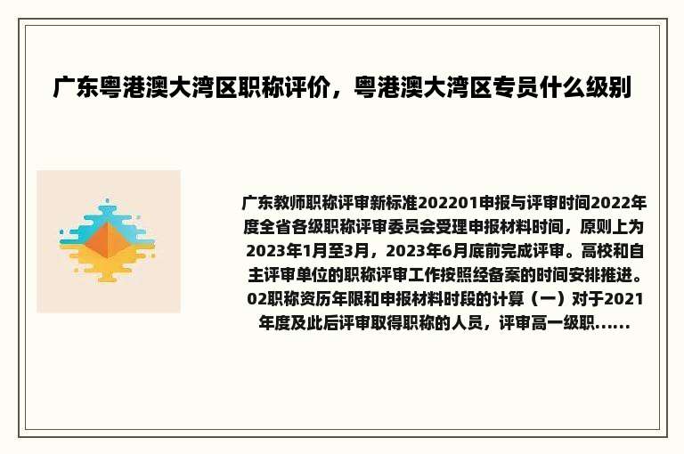 广东粤港澳大湾区职称评价，粤港澳大湾区专员什么级别