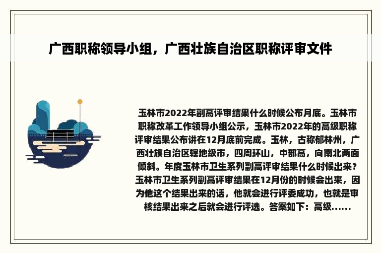 广西职称领导小组，广西壮族自治区职称评审文件