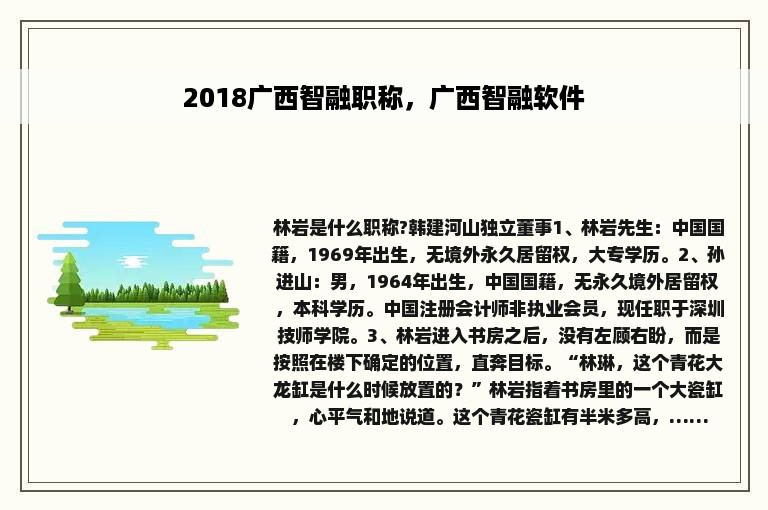 2018广西智融职称，广西智融软件