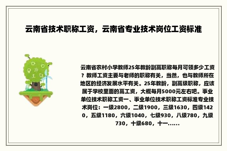 云南省技术职称工资，云南省专业技术岗位工资标准