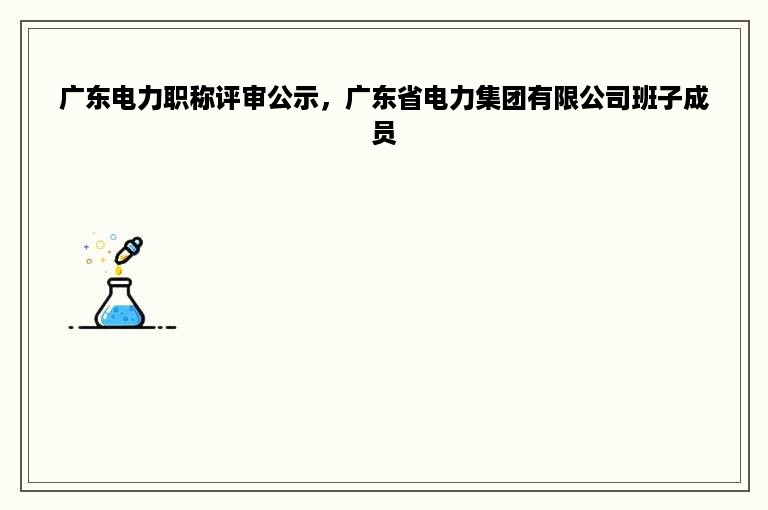 广东电力职称评审公示，广东省电力集团有限公司班子成员