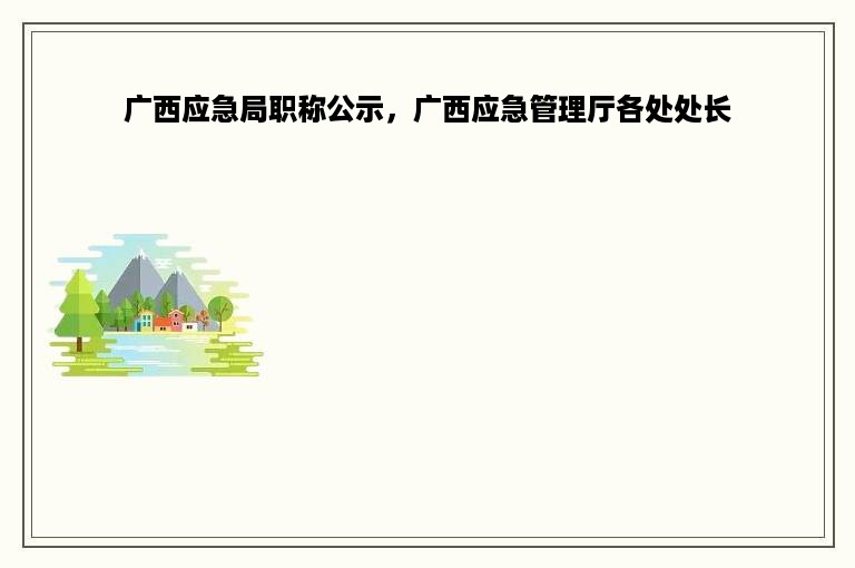 广西应急局职称公示，广西应急管理厅各处处长